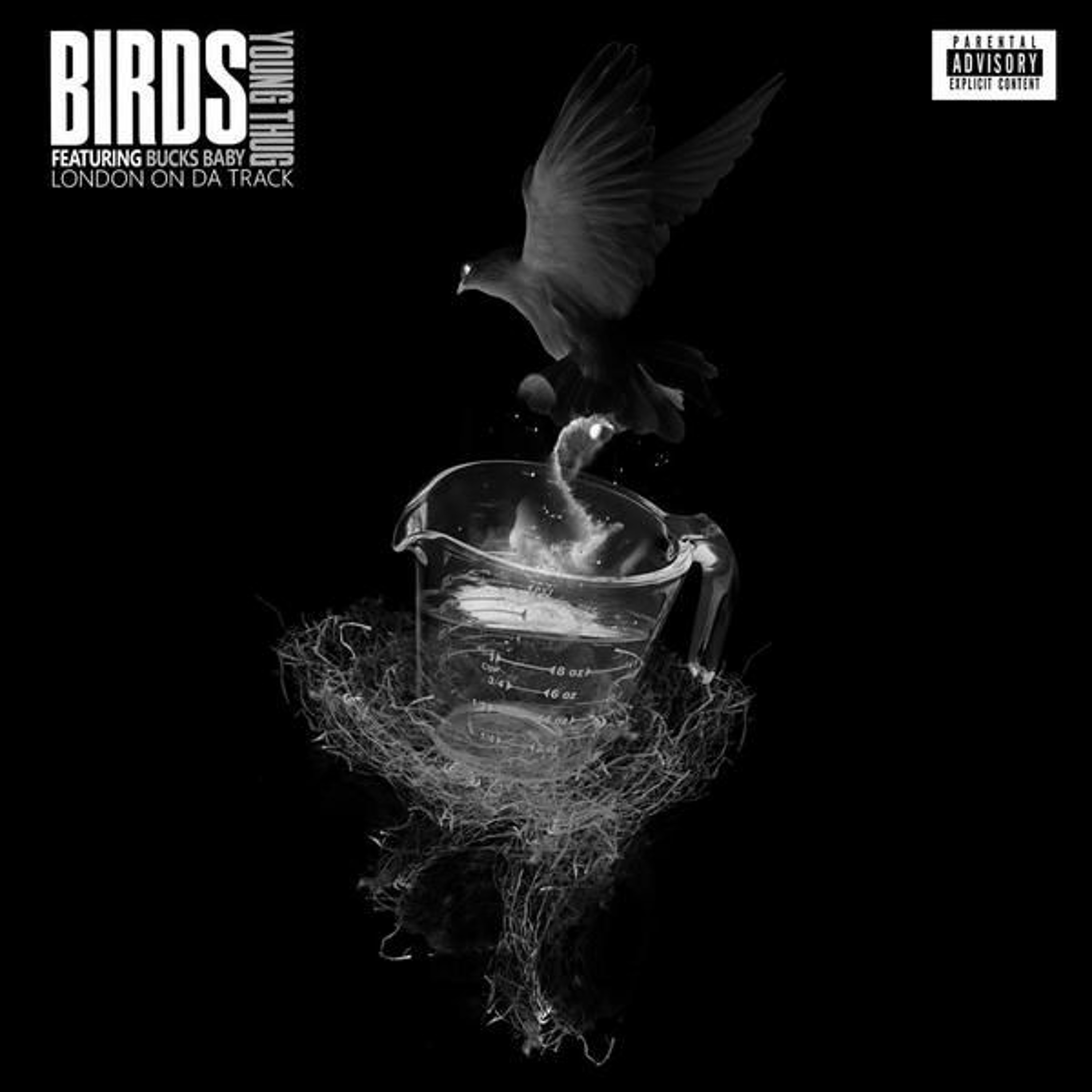 Young Thug - Birds ft. Bucks Baby (Prod. By: @LondonOndaTrack) episode artwork