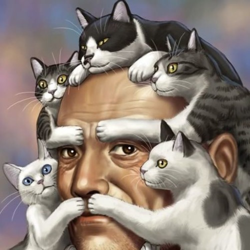 i really don't know what to call this