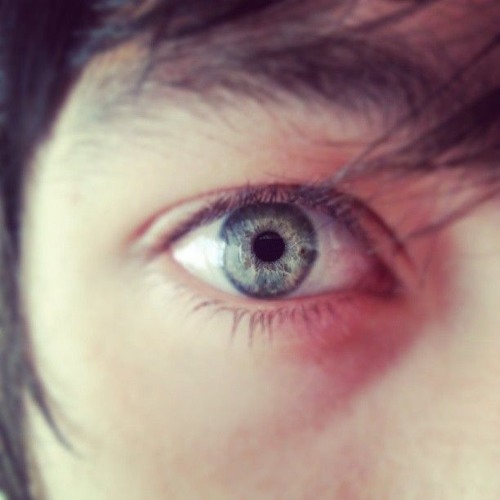 Koda - The Last Days Of Summer