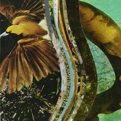 Jochen Discomeyer b2b menqui - sundaysession