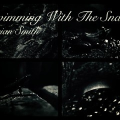 Swimming With The Snake - Cover