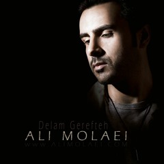 I feel blue دلم گرفته (Ali Molaei)