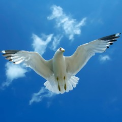 2. RUAH Breathe  (Album Radio God)