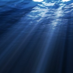 Desde lo Profundo del Oceano / From the Deep Ocean