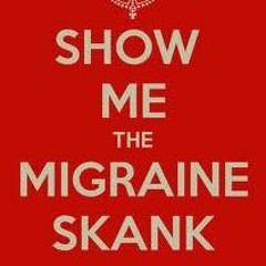 Ryan F - Migraine Skank