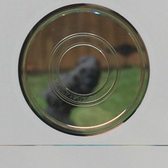 Cruisin' (ft. Dirty Ralph)