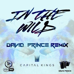 Capital Kings - In The Wild  (David Prince Remix)