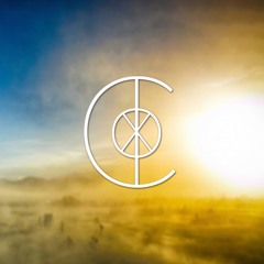The Collxtion