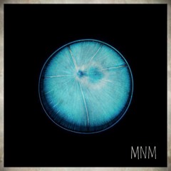 끝 RROD Proptheproducer