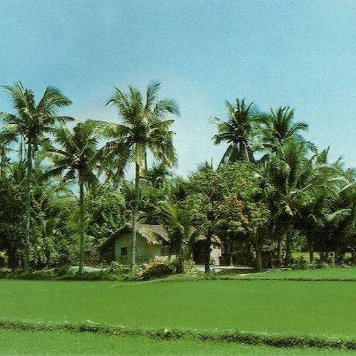 Liên Khúc Quê Hương 2 - Rumba - Hương Lan