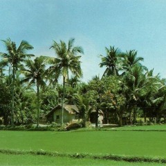 Liên Khúc Quê Hương 1 - Cha Cha Cha - Hương Lan