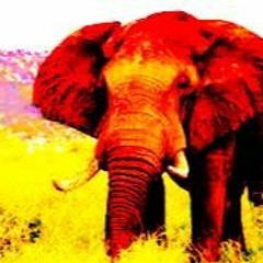Éléphant