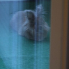 testy testy test test test & coffee plus other