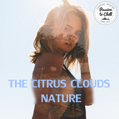 The Citrus Clouds - Nature (HQ free download)