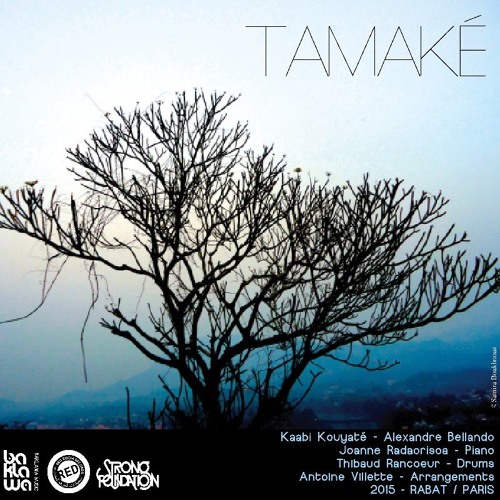 Tamake