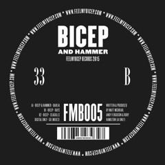 Bicep & Hammer - Go (Bicep's Liquid Mix)