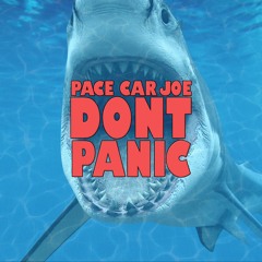 Don't Panic