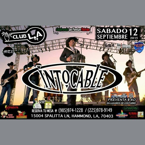 COMERCIAL GRUPO  INTOCABLE