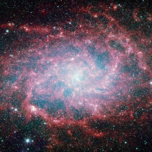 Elbodrop - Free (Skober Remix)