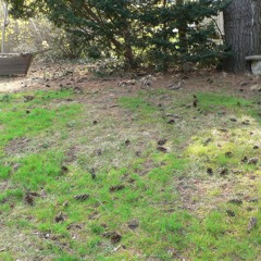 Pavel Karmanov - Funny Valentine - Maxim Novikov - Valentina Borisova