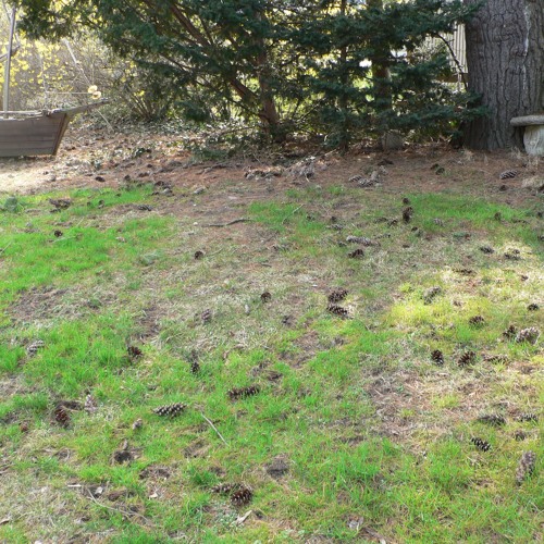 Pavel Karmanov - Funny Valentine - Maxim Novikov - Valentina Borisova