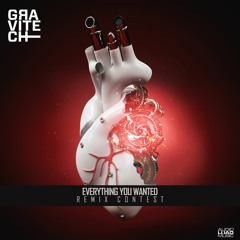 Gravitech - Everything You Wanted - Mindplex [Karbo&Focojo] Remix