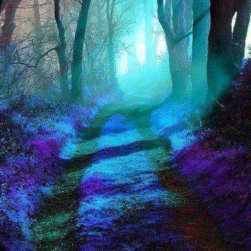 بتحايل على النسيان - سهر أبو شروف