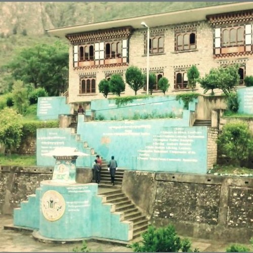 Tribute song to SHABA MSS - Tempa Rinchen
