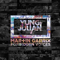 Martin Garrix - Forbidden Voices (YUNGJULIAN Remix)