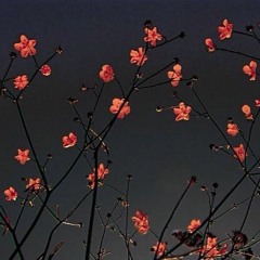 Memories of her existence