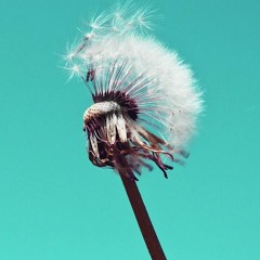 Acknowledging The Future You Are Creating