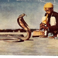 Fantastic Man - Snake Charmer zOoTiMEs rattLe MiX