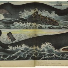 Leviathan (outro demo)