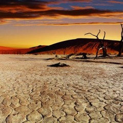 Void of the Desert