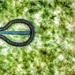 DiscRateBye - Double Standards