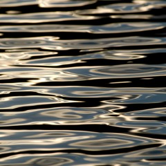 Reflections