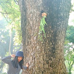 Tame Impala - Eventually (cover)