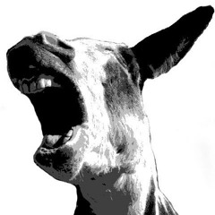 ศัพท์กระจาย - NuttO