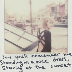 Taylor Swift - Wildest Dreams (Cover)