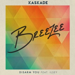 Kaskade - Disarm You (BREEZEE Remix)