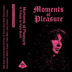 PVBLIC BATH X JANE HARMS -- Walk Straight Down The Middle (K. Bush cover)