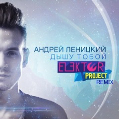 Андрей Леницкий - Дышу тобой (ELEKTOR-PROJECT Remix)