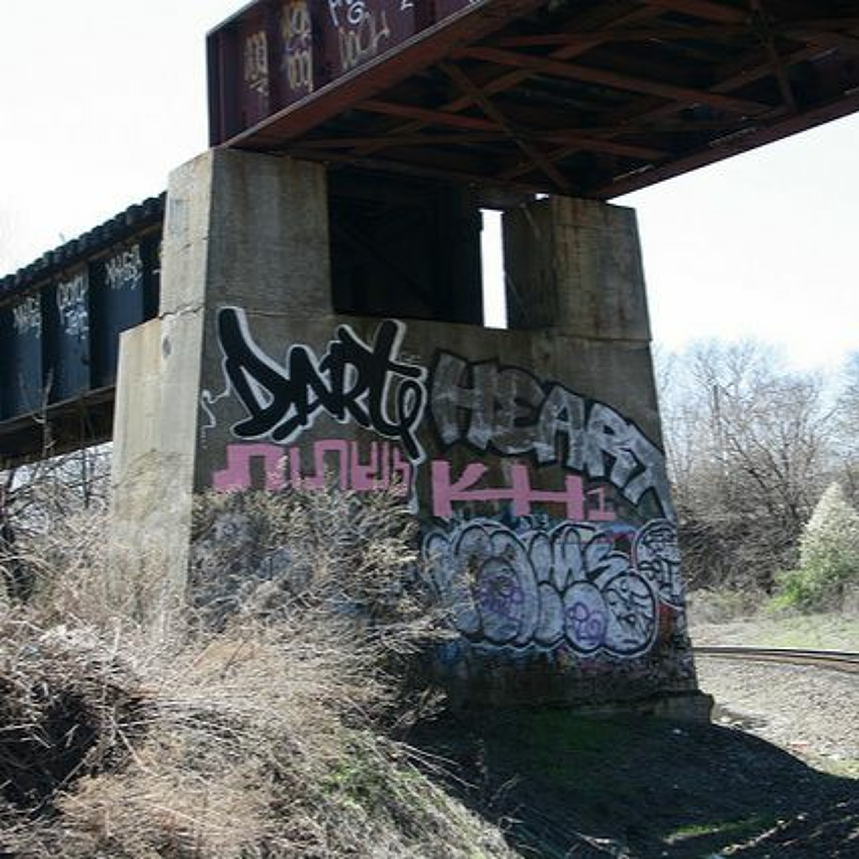 Scott RJC
