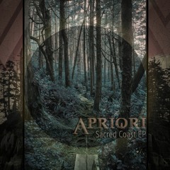 Sporradik - Entropy
