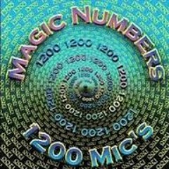 1200 Micrograms -High Paradise