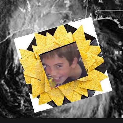 More Like Hurricane Tortilla VINE