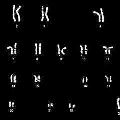 Girl In Trouble (is A Temporary Thing)