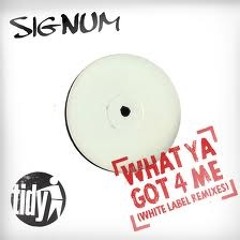 Signum - What Have you Got for Me (Carl Thomas Remix (WIP)) *FREE DOWNLOAD*