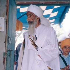 Experiences with Baba Thakur Singh Ji 2