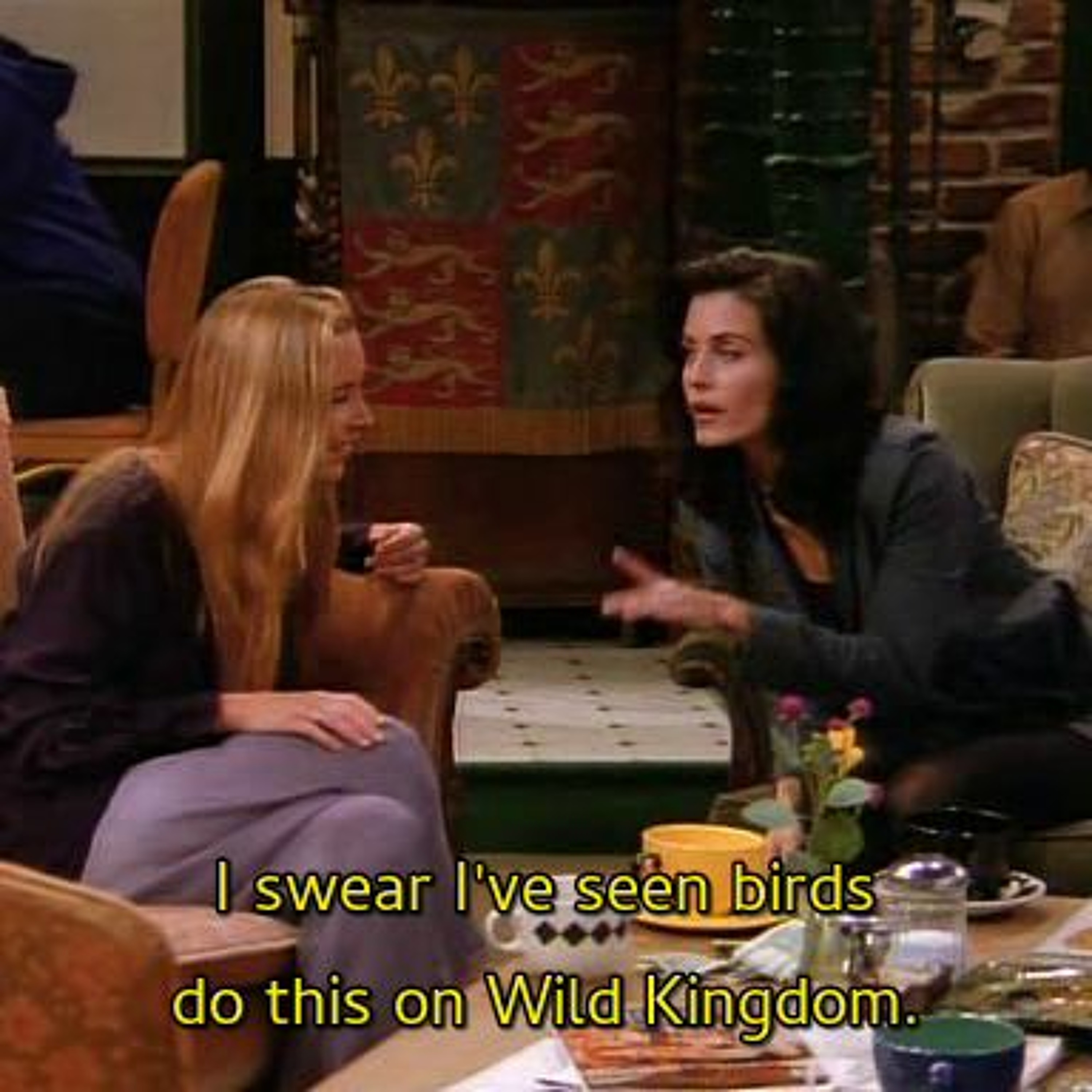 Wild - Kigdom